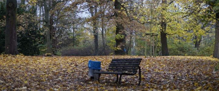 Park Rethen: Unser Ziel in wenigen Sätzen