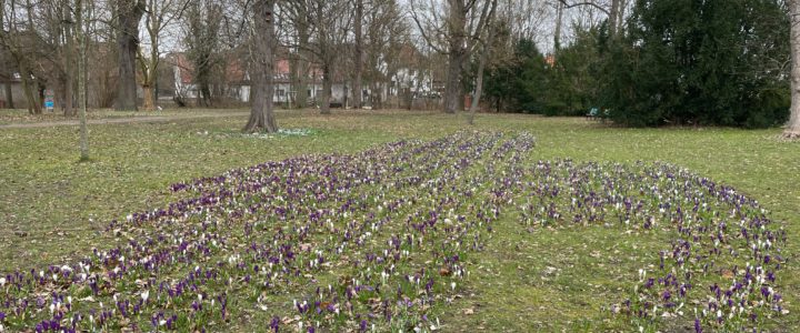 Park Rethen- Sachstand für die Ortsratssitzung am 27.04.2021